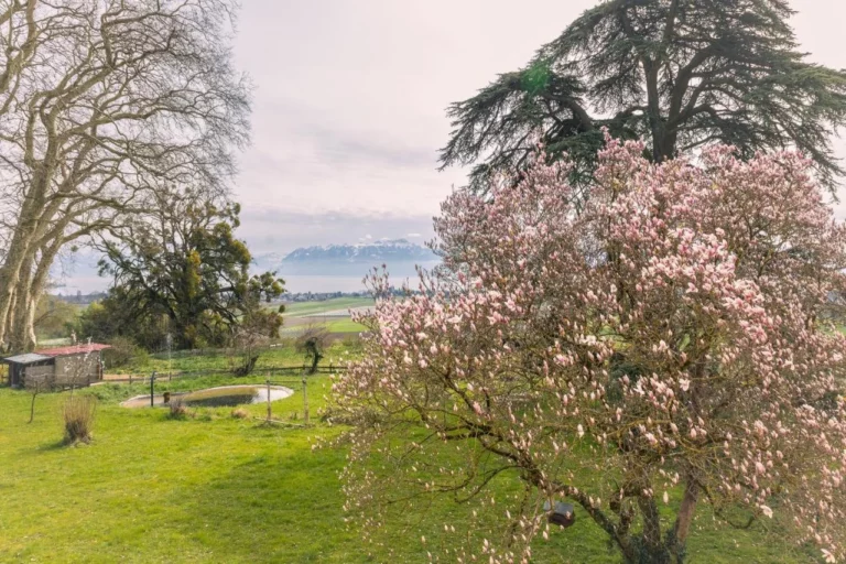 Vue sur le lac Léman et le jardin – Château de Denens