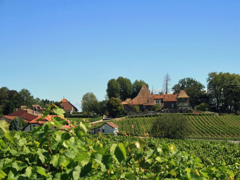 chateau-3